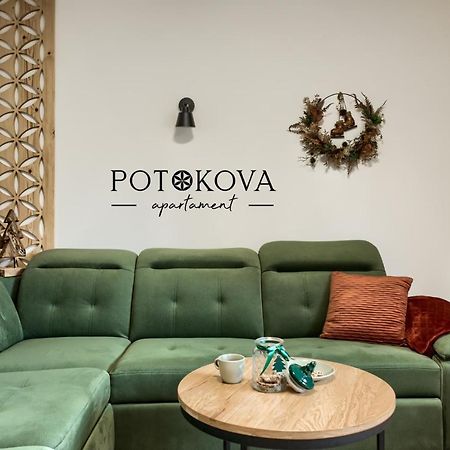 Potokova Apartament Centrum Zakopane Eksteriør billede