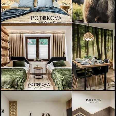 Potokova Apartament Centrum Zakopane Eksteriør billede