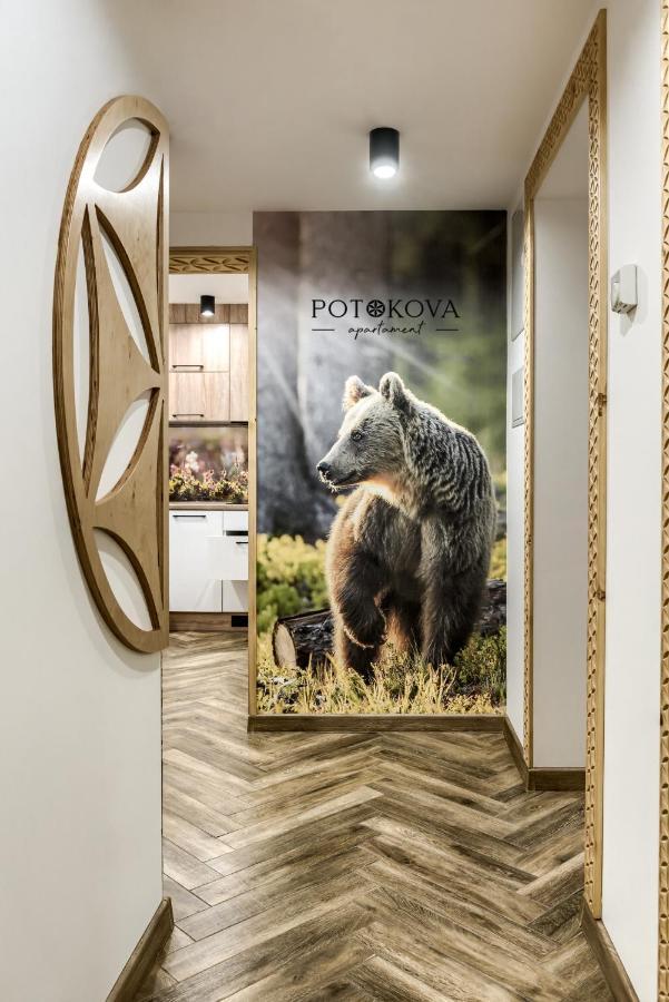 Potokova Apartament Centrum Zakopane Eksteriør billede