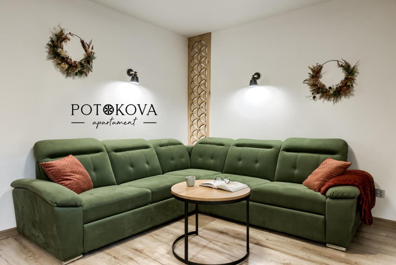 Potokova Apartament Centrum Zakopane Eksteriør billede