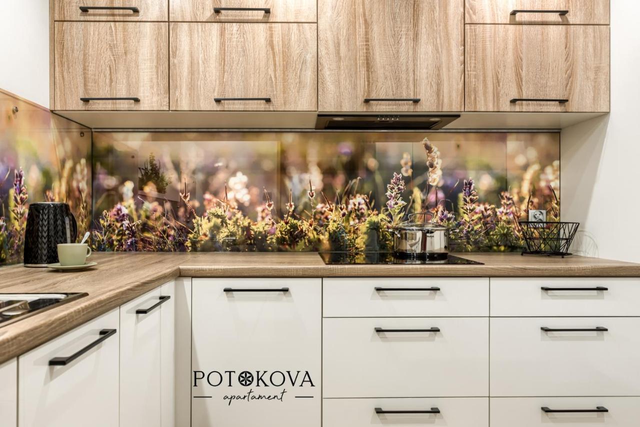 Potokova Apartament Centrum Zakopane Eksteriør billede