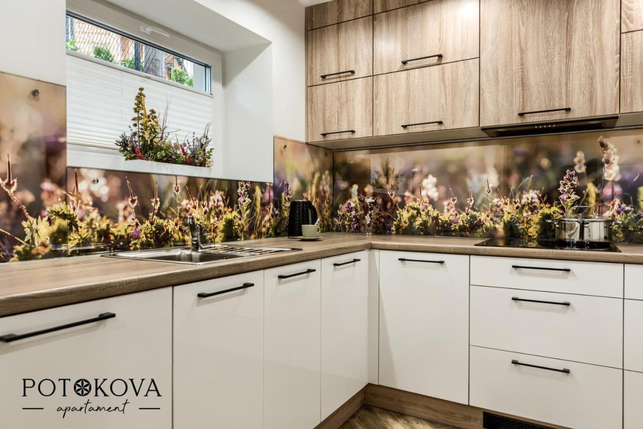 Potokova Apartament Centrum Zakopane Eksteriør billede