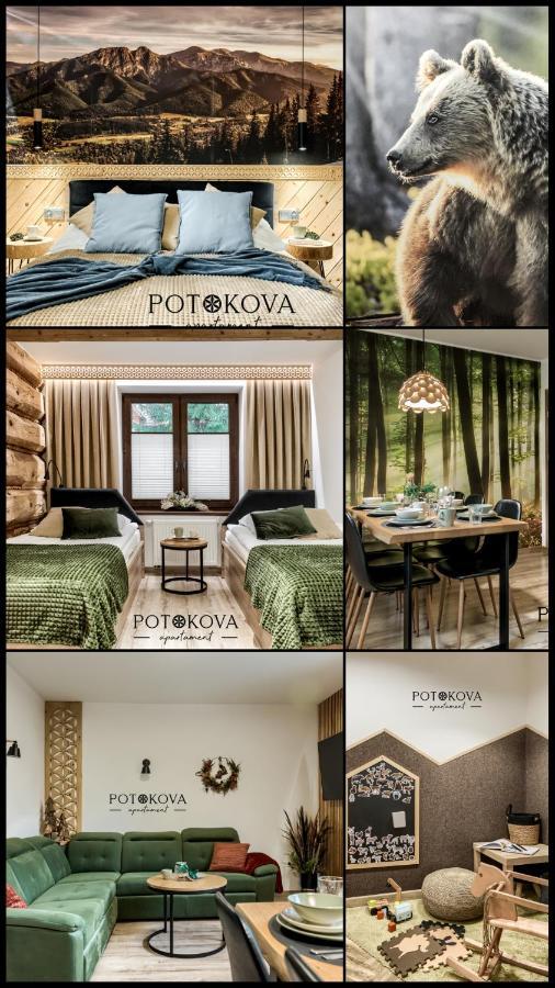Potokova Apartament Centrum Zakopane Eksteriør billede